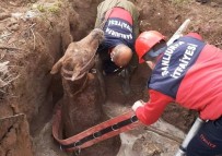 Şanlıurfa'da Foseptik Çukuruna Düşen Yarış Atı Kurtarıldı Haberi