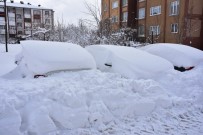 Bitlis'te 275 Köy Yolu Ulaşıma Kapandı