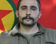 Eylem Hazırlığındaki PKK'lı Hüseyin İnal Etkisiz Hale Getirildi