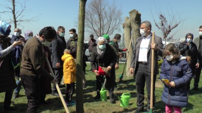 Üsküdar'da Kız Kulesinde Katledilen Ağaçların Yerine Yenileri Dikildi