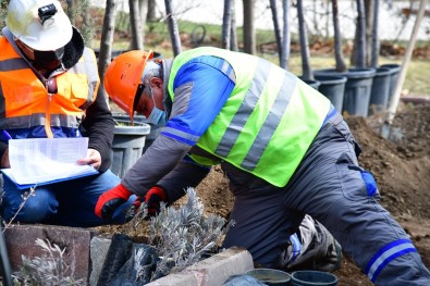 Becerilerini İspatladılar