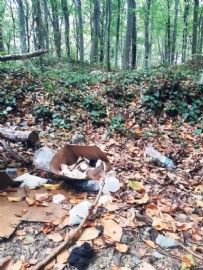 İstanbul'un gözbebeği Belgrad Ormanı'nda isyan ettiren görüntüler! Bir günde 10 ton çöp!