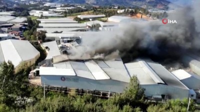 Mersin'de Muz Sarartma Tesisinde Çıkan Yangına Müdahale Ediliyor