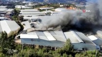 Mersin'de Muz Sarartma Tesisinde Çıkan Yangına Müdahale Ediliyor Haberi