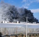 Mersin'de Muz Sarartma Tesisinde Yangın