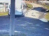 Servis Aracıyla Sokak Köpeğini Ezen Sürücüye Ceza...O Anlar Kamerada Haberi