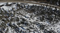 Bolu'da Karların Erimesi Ve Fırtına Onlarca Ağacı Devirdi
