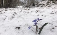 Bozdağ'da Kar Yağışı Haberi