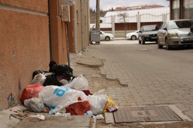 Eskişehir'de Bazı Vatandaşlar Çöp Konteynırına Alışamadı