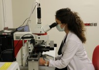 'Genetik Hastalıkları Tanı Merkezi' Yurt Dışına Hasta Göndermenin Önüne Geçti