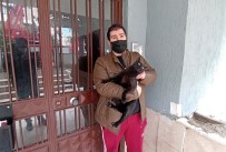 Beşinci Kattan Düşen Kedisi Kurtarıldı, Göz Yaşlarına Boğuldu