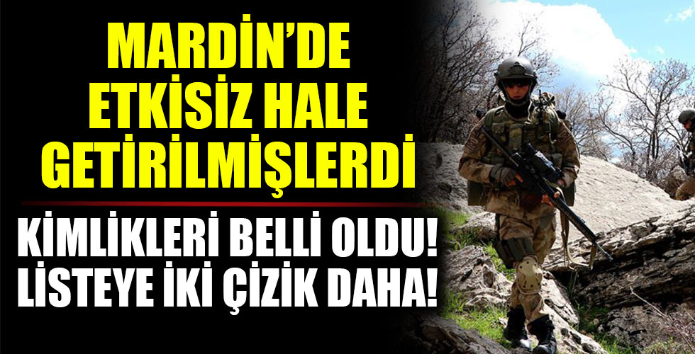 Mardin'de etkisiz hale getirilmişlerdi! Listeye iki çizik daha!