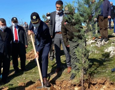 'Önce Vatan Tepesi'nde Fidanlar Toprakla Buluştu