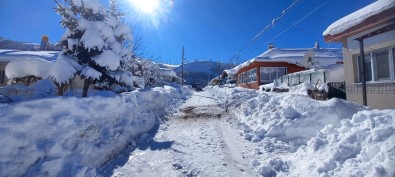Tunceli'de Karla Kapanan Tüm Köy Yolları Açıldı