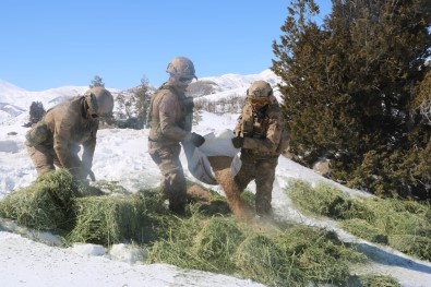 Tunceli'de Yaban Hayvanlarına Helikopterle Yem Desteği