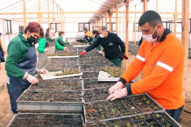 Çankaya'dan Çiçek Satışı