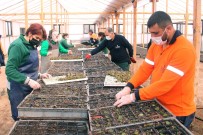 Çankaya'dan Çiçek Satışı