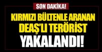 SURİYE - Kırmızı Bültenle aranan DEAŞ'lı terörist yakalandı