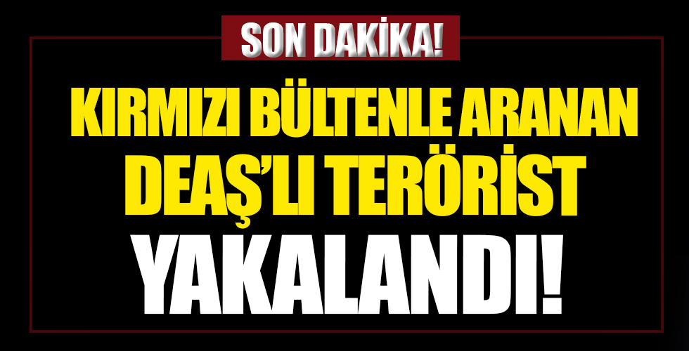 Kırmızı Bültenle aranan DEAŞ'lı terörist yakalandı