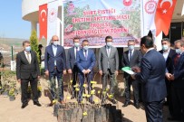 Siirt'te 4 Bin Dekar Fıstık Bahçesi Tesis Edilecek