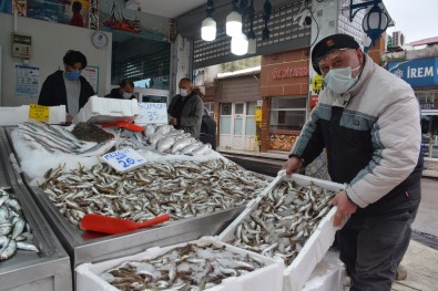 Sinoplu Balıkçılar Bu Sezon Umduğunu Bulamadı