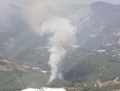 PKK'lı terörist, Kumluca Yeşilköy Mahallesi Kızılgedik mevkiisindeki ormanları yaktığını itiraf etti!