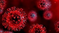Türkiye'nin 6 Mart koronavirüs tablosu açıklandı!