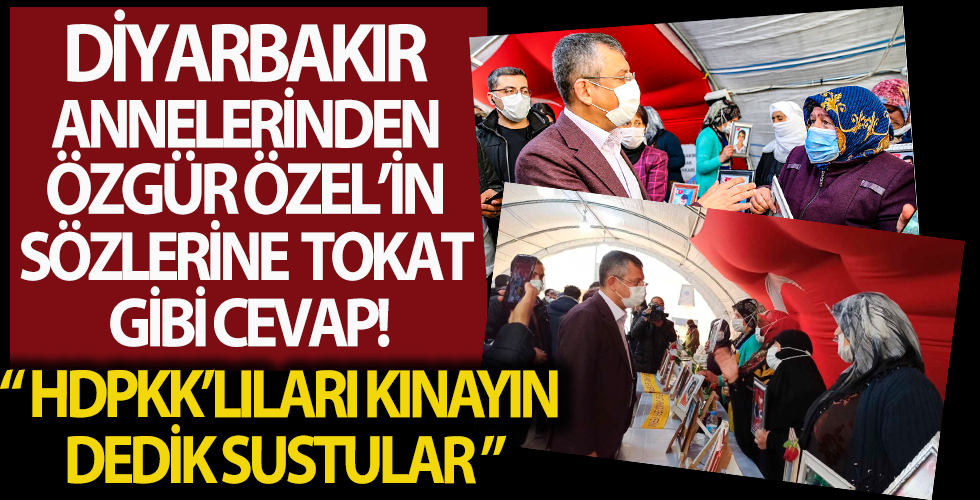 Diyarbakır annelerinden CHP’li Özel’in sözlerine tepki: HDP'yi PKK'yı lanetleyip kınamasını istedik bize cevap vermedi