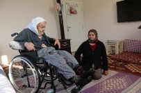 102 Yaşındaki Fatma Nine'nin Tekerlekli Sandalye Mutluluğu Haberi