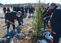 '2021 Yılının 65 Günlük Sürecinde 67 Kadın Öldürüldü'
