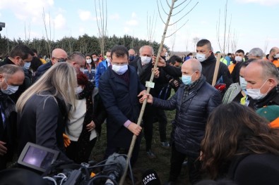 Başkan Akgün, 8 Mart Hatıra Ormanı'na Ağaç Dikti