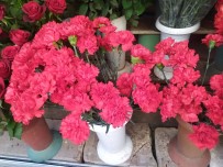 Çiçekçilerde 8 Mart Bereketi Açıklaması Erken Saatlerde 'Karanfiller' Tükendi