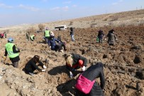 Fidanlar Kadınlar İçin Toprakla Buluştu