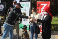 Giresun'da Dünya Kadınlar Günü Dolayısıyla Kadınlara Karanfil Dağıtıldı