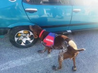 Jandarma'dan Uyuşturucu Operasyonu