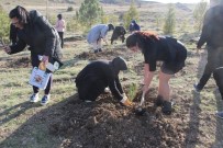 Kadınlar Fidanları Toprakla Buluşturdu