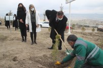 Kayseri Barosu Kadınlar Günü'nde Ağaç Dikti