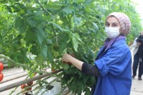 Kendi Günlerinde Çalışan Tarım İşçisi Kadınlar Unutulmadı Haberi