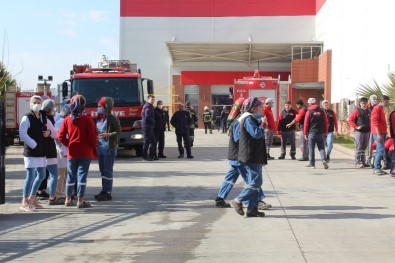 Kuru Yemiş Fabrikasındaki Yangında 17 İşçi Dumandan Etkilendi