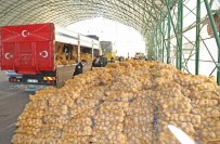 Mudanya Belediyesi'nden İhtiyaç Sahiplerine 80 Ton Patates