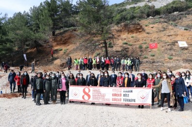 Muğla'da Mercan Hatıra Ormanı