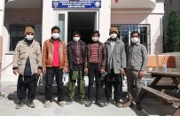 Osmaniye'de Pakistan Uyruklu 6 Düzensiz Göçmen Yakalandı