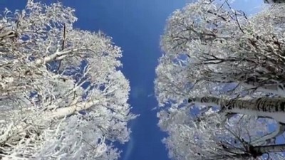 Ağrı'da Dondurucu Soğuklar Martta Da Etkisini Sürdürüyor