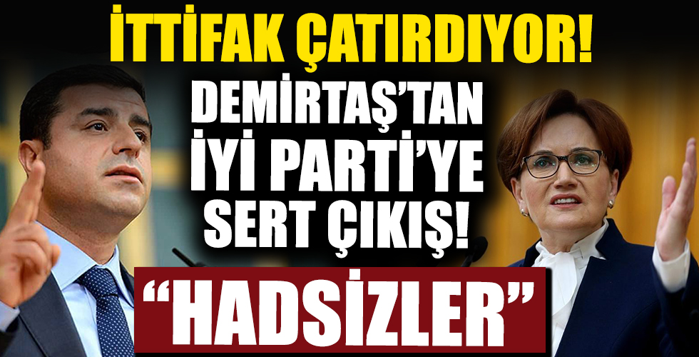 Demirtaş'tan İYİ Parti çıkışı; Hadsizler!
