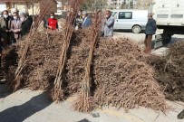 Elazığ'da 'Meyveciliği Geliştirme' Projesi, 13 Bin Fidan Dağıtıldı