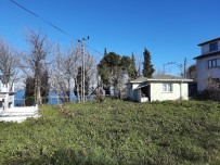 Hacı Baba Türbesi İçin Mahkemeye Başvurdu