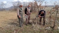 Kaçak Ava Karşı Foto Kapanlar Kuruldu, Kaçak Meterisler Yıkıldı