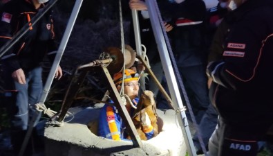 Kuyuya Düşen Yavru Keçiler Kurtarıldı