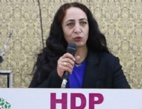 Terör örgütü PKK'ya operasyon! HDP'li vekilin eşi tutuklandı!