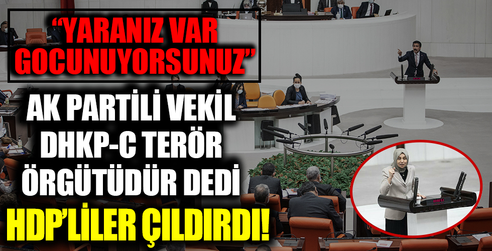 AK Partili vekil terör örgütünü lanetledi HDP'liler tepki gösterdi!